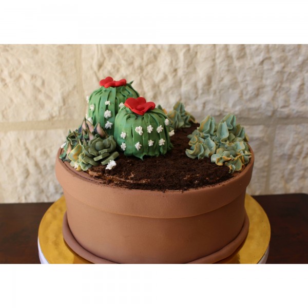 Cactus Pot Cake