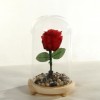 Immortal Red Rose in Vase