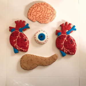Body Organs Cookies