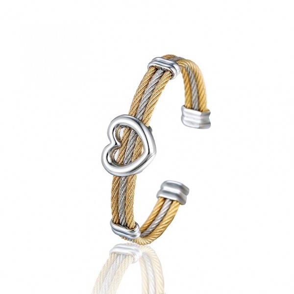 Stainless Steel Twisted Cable Bangle-Silver & Gold